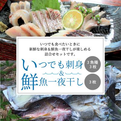 ふるさと納税 天草市 いつでも刺身 3魚種 3枚&amp;鮮魚一夜干し 3枚セット_S059-005A