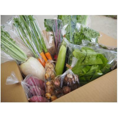 ふるさと納税 板野町 【農家直送】なるべく自然に近い環境で栽培した「季節のおまかせ野菜セット』(7〜9品) |  | 01