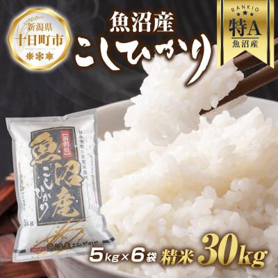 ふるさと納税 十日町市 魚沼産 コシヒカリ 5kg×6袋 計30kg (お米の美味しい炊き方ガイド付き)