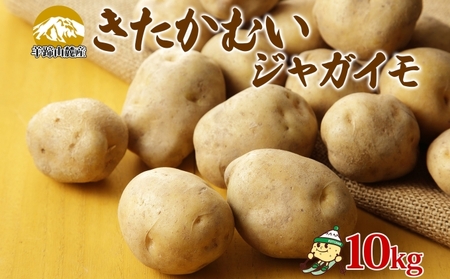 じゃがいも きたかむい 北海道産 じゃがいも【約10kg Lサイズ】