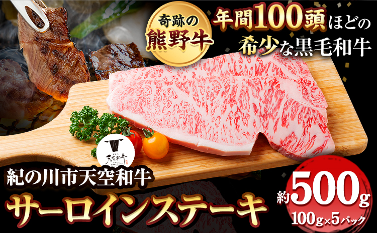 年間100頭程の奇跡の天空和牛!  サーロインステーキ 約500g(約100g × 5枚) 有限会社松牛 《30日以内に出荷予定(土日祝除く)》サーロインステーキ 黒毛和牛 牛 牛肉 牛肉ステーキ ステーキ(F)