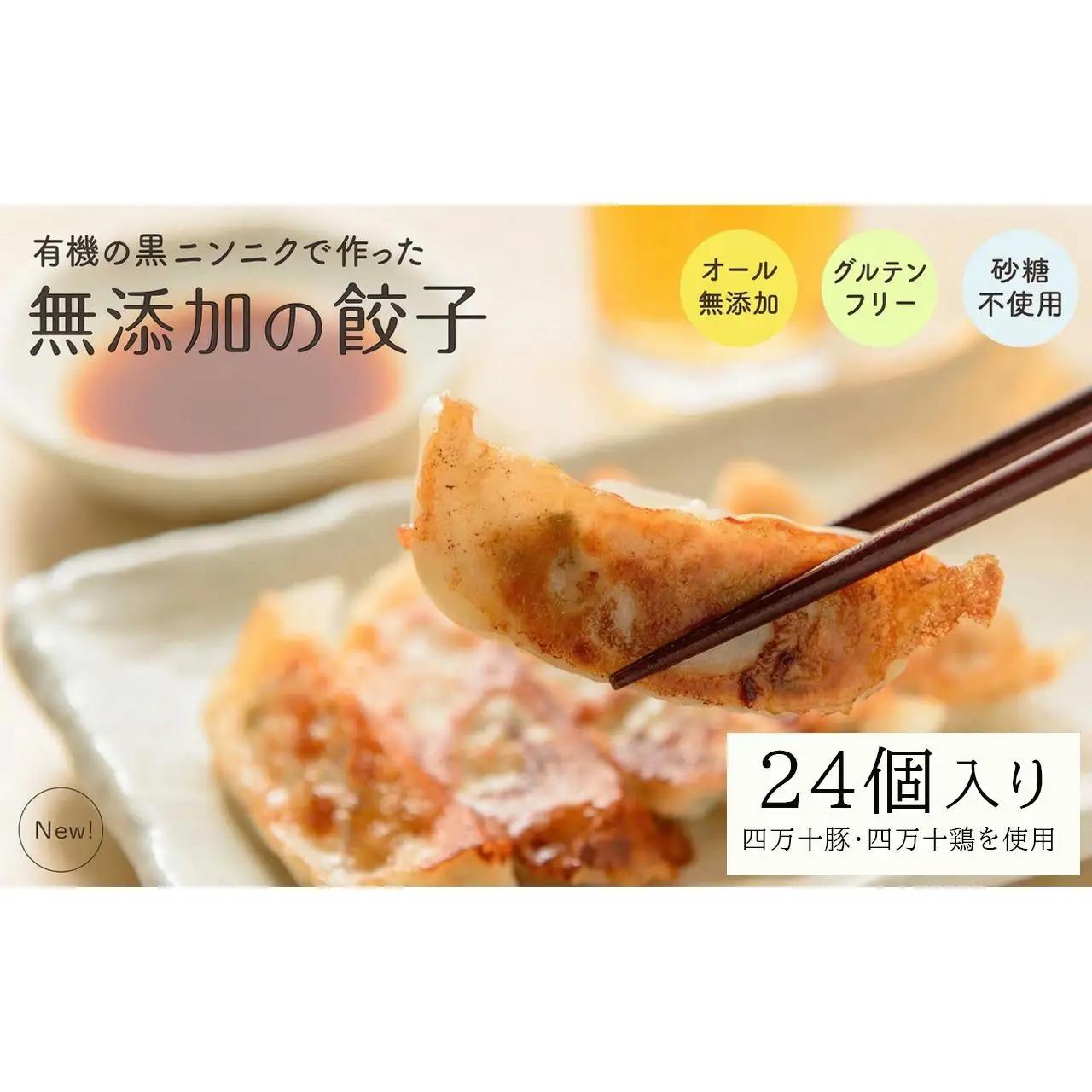 【餃子】黒にんにくと四万十豚で作った餃子(6個入りx4パック）