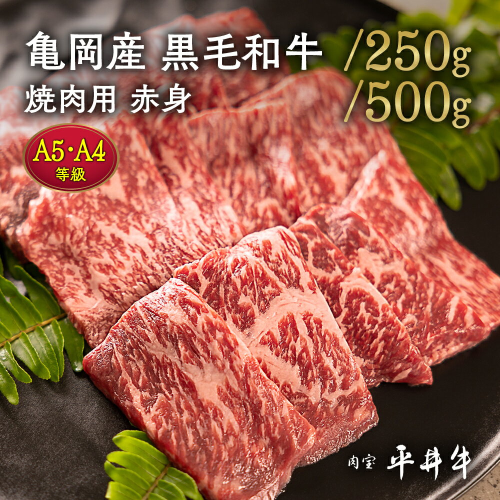 【ふるさと納税】【7営業日以内発送】＼選べる内容量／平井牛 A5・A4 焼肉用 赤身 250g/500g ＜京都丹波牧場＞亀岡産黒毛和牛 ウチヒラ・マル・イチボ・ランプ・ウチモモ・シンタマ 希少 京都肉 冷凍 真空パック BBQ 送料無料