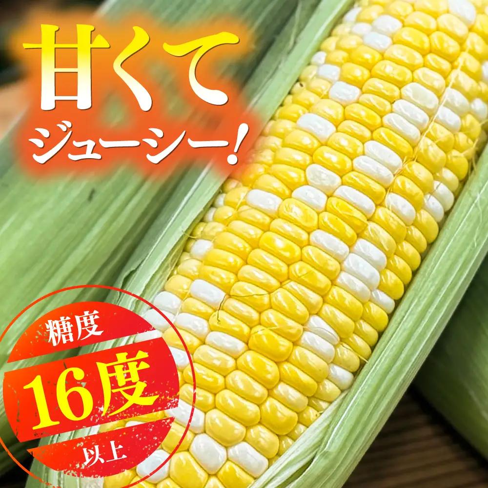 【先行予約】【2027年5月下旬より順次発送】スイートコーン ドルチェドリーム 約4kgBHCJ002 とうもろこし とうもろこし