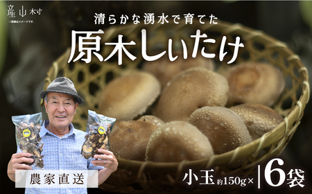  阿蘇・産山村産　原木生しいたけ小玉900g（150g×6袋）《6月中旬-11月下旬頃出荷予定》