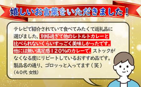 【カレー】牛テールカレー ゴロット  20袋セット 【テレビ紹介多数！ 豊味館】