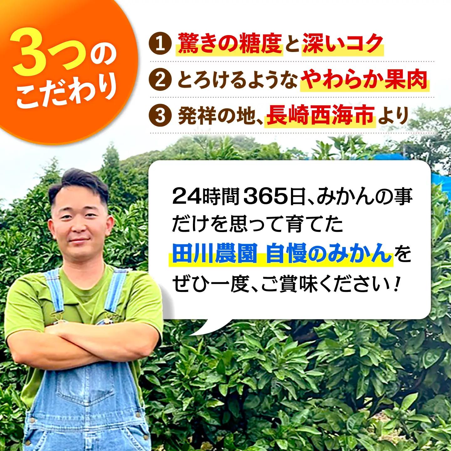 【数量限定】 【訳あり】 原口みかん 約5kg ＜田川農園＞[CGR002]