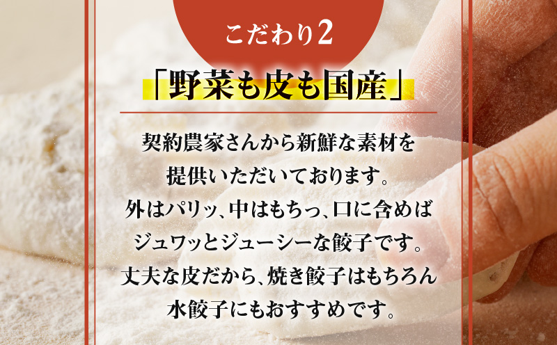 鹿児島黒豚使用の黒豚餃子 96個　K202-001