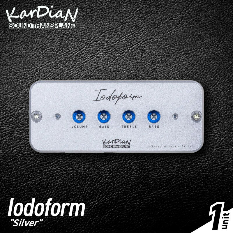【ふるさと納税】Iodoform Silver ヨードホルム キャラクターモジュール エフェクティブ ブルース ジャズマン ハードロック 2EQ イコライジング ノイズレスサウンド エフェクター エレキ ギター ベース 楽器 アクセサリ 音響機材 お取り寄せ 滋賀県 守山市 送料無料