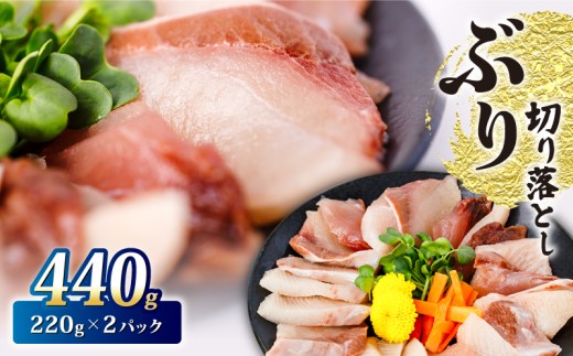 ブリ  切り落とし 440g 220g ×2パック 天然鰤 国産ぶり buri 産地直送 刺身 お刺身 漬け丼 茶漬け 冷凍 小分け 国産 刺身 刺し身 魚 魚介 国産 天然 三重 南伊勢町 伊勢 志摩 六千円 6000円 外湾漁業協同組合