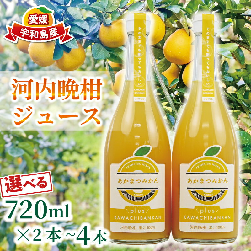 【ふるさと納税】 河内晩柑 ジュース 選べる 720ml × 2本 ~ 4本 セット あかまつみかん ストレートジュース みかんジュース みかん mikan フルーツジュース 果汁 100% 飲料 柑橘 ギフト 贈答用 果物 くだもの フルーツ 国産 愛媛 宇和島 H012-203002~003