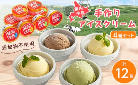 稚内牛乳　アイスクリーム4種12個セット (バニラ、チョコ、宗谷の塩、稚内産クマザサ)