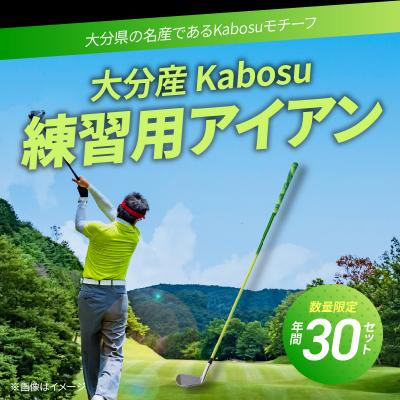 ふるさと納税 大分市 大分産 Kabosu スイング練習用アイアン_R14144