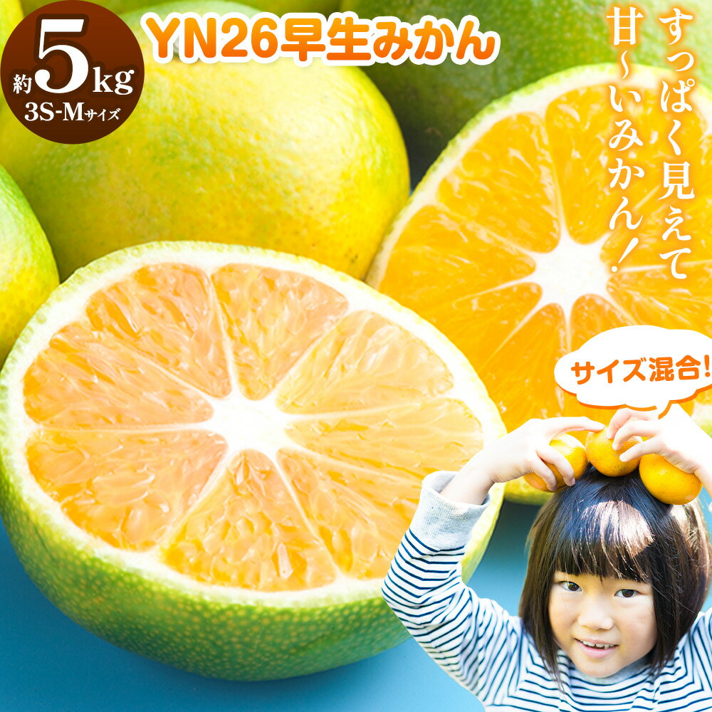 【ふるさと納税】みかん 早生みかん YN26 早生 みかん サイズ混合 約5kg 3S-Mサイズ どの坂果樹園《2026年9月上旬-9月下旬頃出荷》和歌山県 日高町 産地直送 不揃い 柑橘類 みかん 旬 フルーツ 果物 柑橘 送料無料