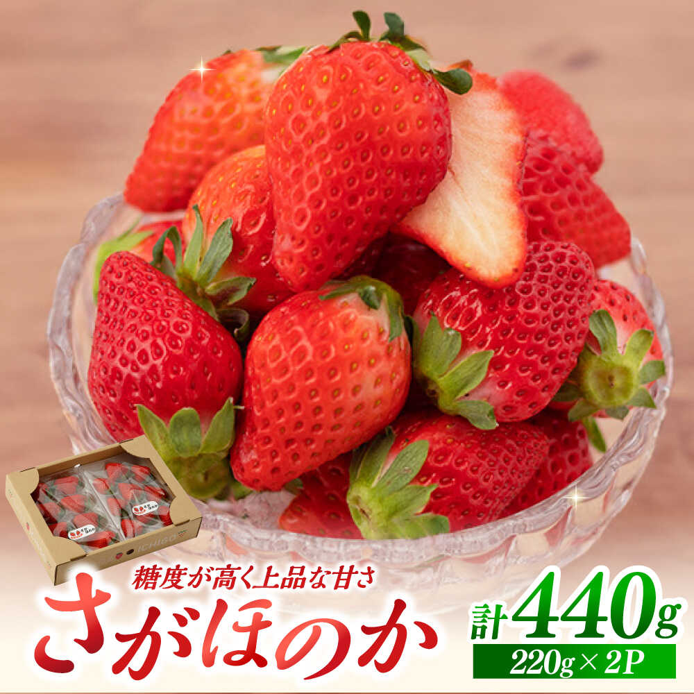 【ふるさと納税】【先行予約 2027年1月以降発送】さがほのか 220g×2パック【鐘ヶ江農園】 佐賀県 白石 [IBH018]