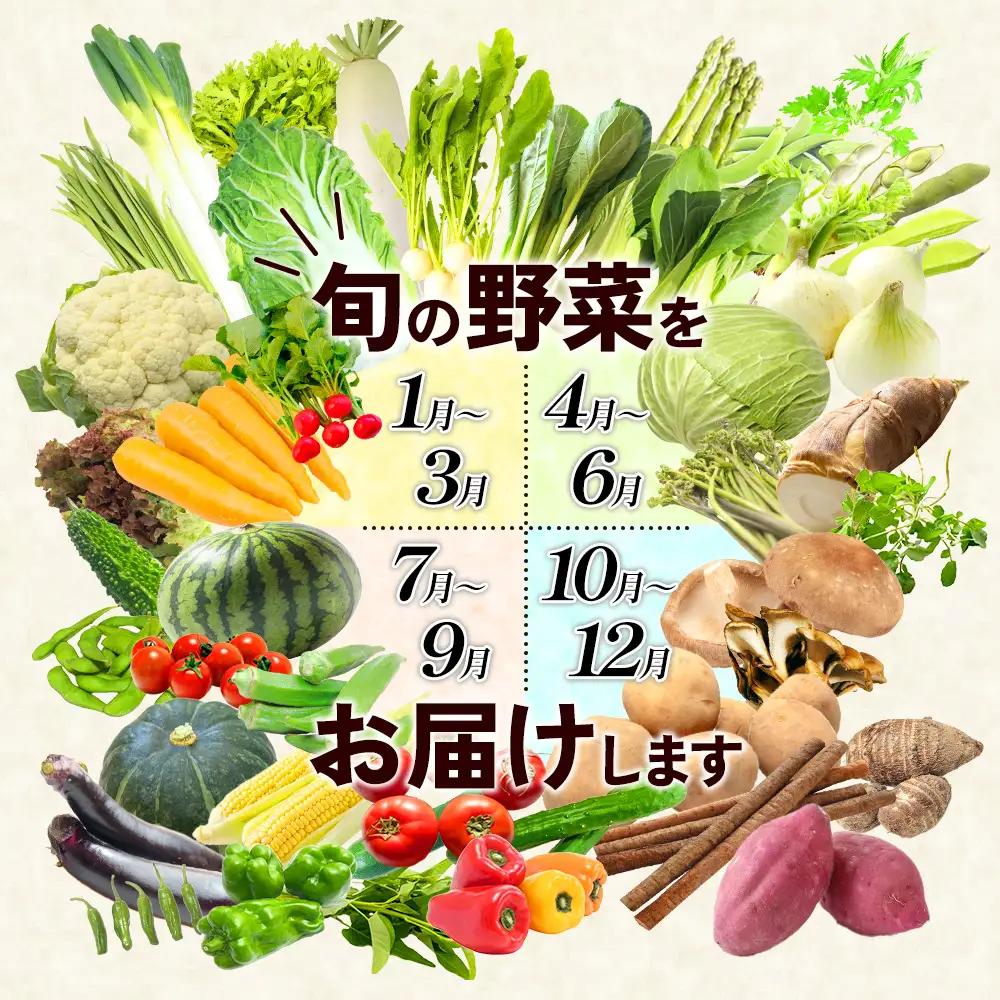 【6回定期便】特別栽培季節のお野菜セット 8品 野菜 無農薬 有機栽培 新鮮 やさい 旬 詰合せ 国産 宮崎県 九州 送料無料