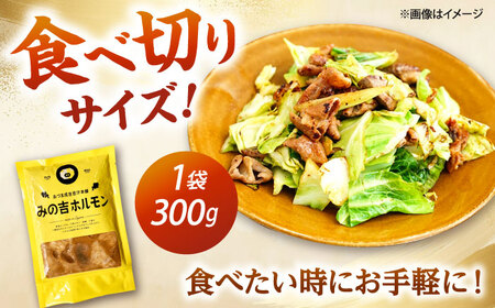 みの吉ホルモン 計600g（300g×2パック）《厚真町》【有限会社市原精肉店】 ほるもん ミノ 豚肉 焼肉 BBQ 味付き 味付きホルモン 味付けホルモン 小分け 冷凍 北海道[AXAA031]