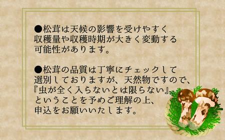 【2616-0480】岡山 花笑み農園 超希少！早『松茸』100g 梅雨の恵み (6月から7月発送)