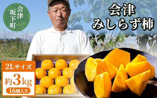 
                  23-D 柿 会津みしらず柿 2Lサイズ 16個入り 約3kg | フルーツ くだもの 果物 柿 かき カキ 産地直送 先行受付 福島県 会津坂下町 ※2026年11月～発送
                