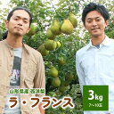 【ふるさと納税】西洋梨 ラ・フランス 3kg ご家庭用 7～10玉 2L～5L サイズ 果物 フルーツ 洋なし お取り寄せ 山形 産地直送 送料無料 秋 旬 山形県 上山市 0078-2402