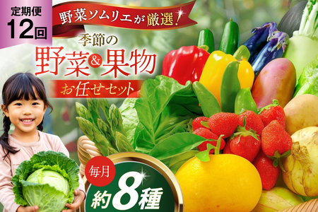 野菜 果物 セット 安心の地元野菜と果物のお任せセット 定期便 12回 [ひらど新鮮市場 長崎県 平戸市 hr42bgy400146]