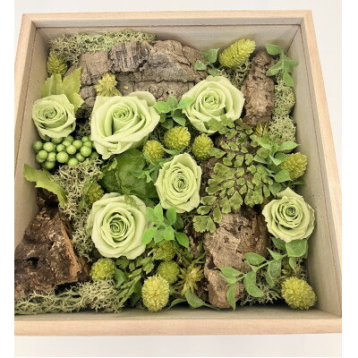 【ふるさと納税】プリザーブドフラワー緑【1624482】