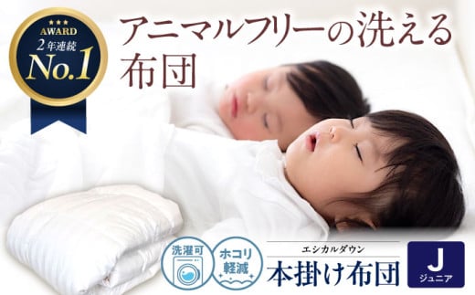 布団 《日本製》洗える 人工羽毛布団 掛け布団 〈ジュニア〉人工羽毛 エントリーモデル 広島県福山市/イシケン株式会社 2枚組 羽毛布団 羽毛ふとん 肌掛け 日本製 オールシーズン 掛布団 寝具 アレルギー対策 広島 福山 ふるさと納税 子供用 こども 洗える ウォッシャブル 軽量 暖かい 人気 おすすめ 国産 人気 おすすめ 広島県 福山市 ふるさと納税 送料無料 [BAAK029]