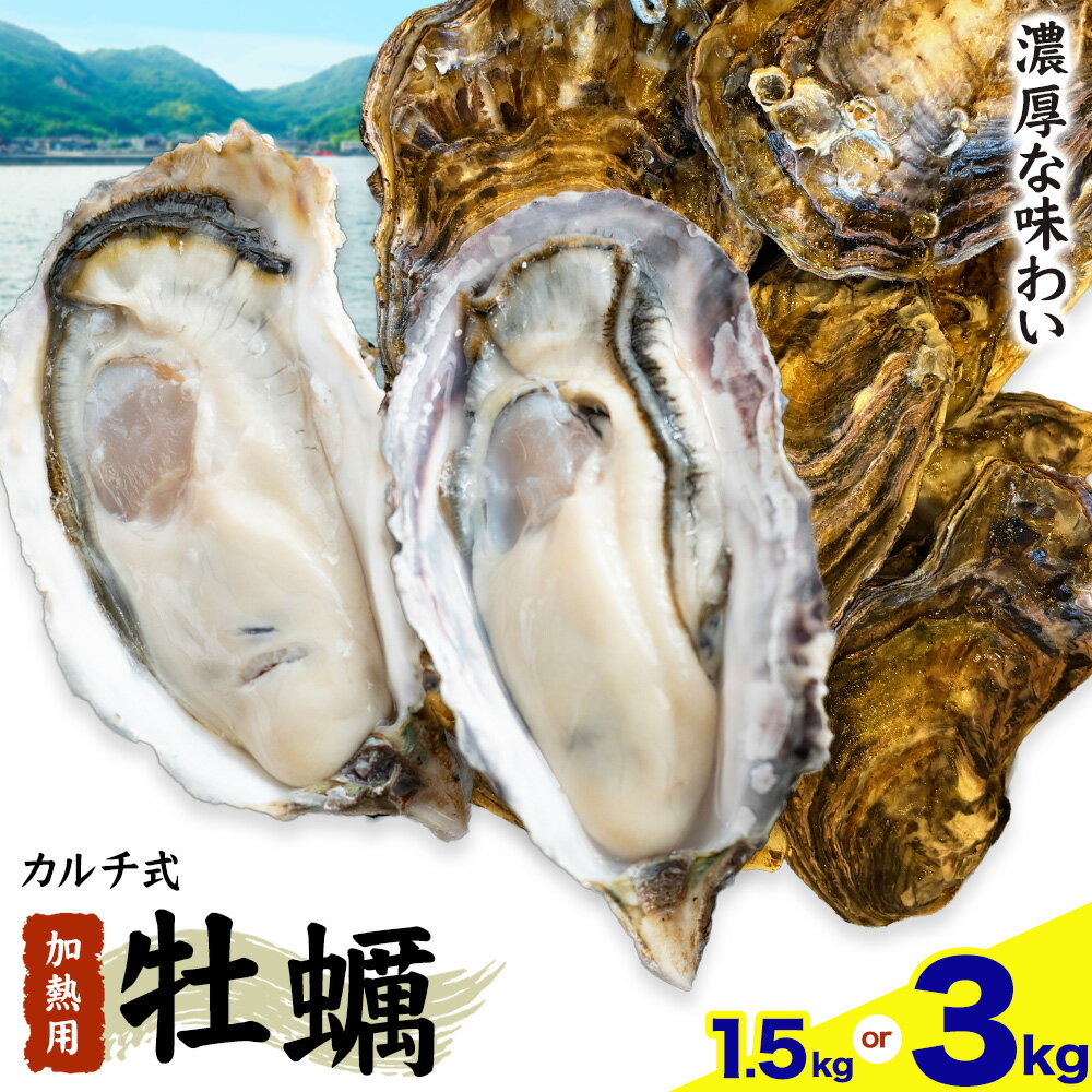 【ふるさと納税】笠岡産 牡蠣 TAKIOKAプレミアム カルチ式 (加熱用) 選べる内容量 1.5kg 3kg 《10月上旬-6月下旬頃出荷》 岡山県 笠岡市 かき カキ 牡蠣 生牡蠣 瀬戸内海産 殻付き