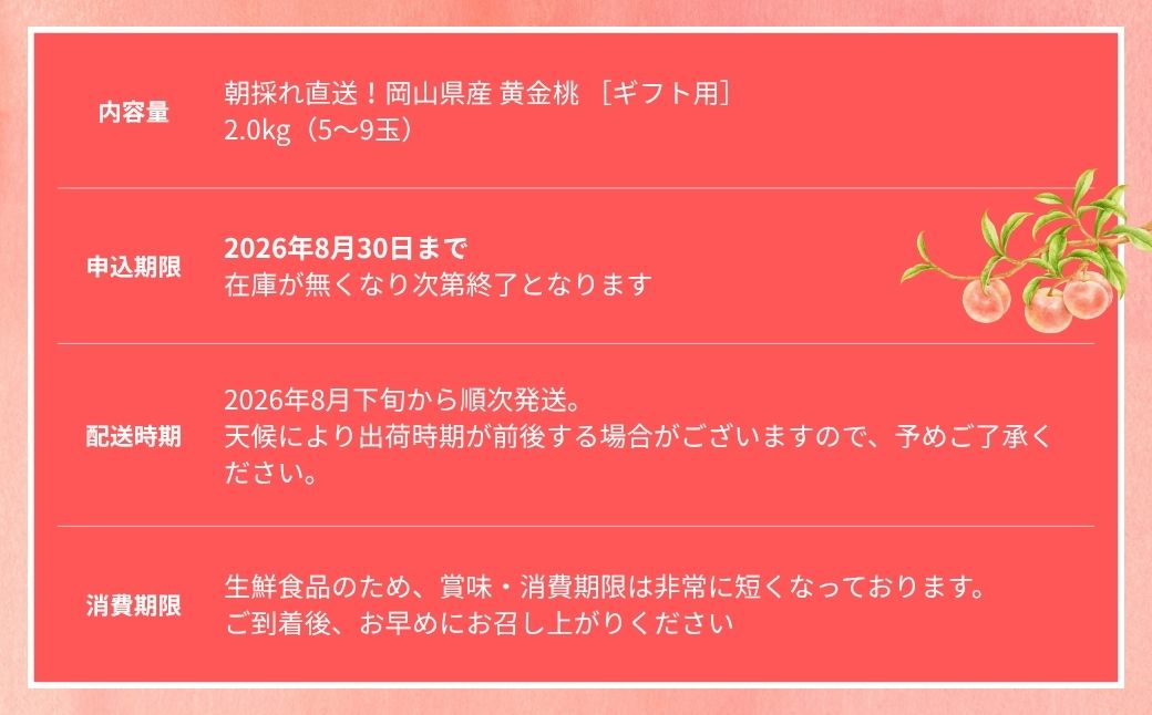 【2026年先行予約】［なんばふぁーむ］岡山県産 黄金桃 2.0kg（5〜9玉）[ギフト用]【039-a009】 2.0kg（5～9玉）