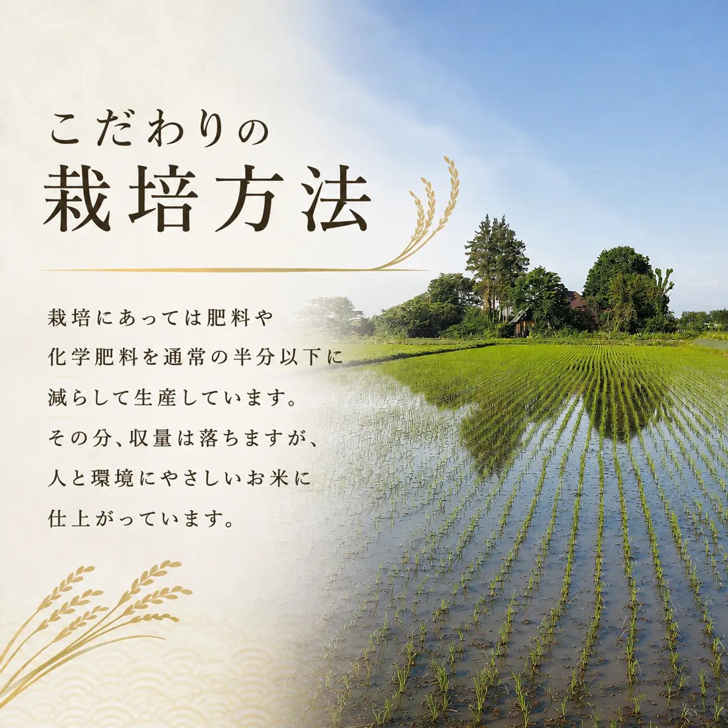 【厳選プレミアム極】新米 白米 銀河のしずく米 5kg　【2228】
