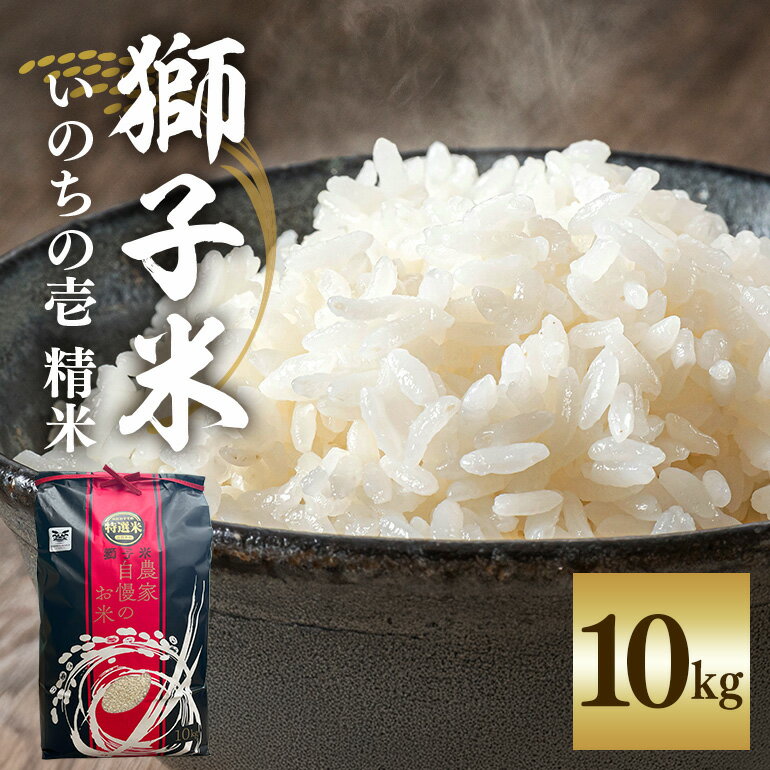 【ふるさと納税】 【令和7年産】獅子米 いのちの壱 精米 10kg 岡田ファーム コンテスト受賞米 お米 白米 米 おこめ 10キロ 国産 コメ こめ ご飯 茨城県産 茨城 産直 産地直送 農家直送 ごはん 家庭用 贈答用 お取り寄せ 茨城県 石岡市 送料無料 (B02-018)
