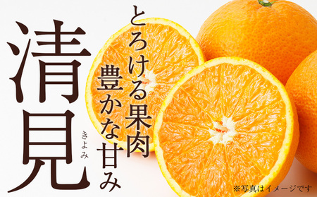 ＜訳あり 清見 (サイズ混合) 約5kg＞ 愛媛 蜜柑 ミカン みかん 果物 フルーツ 柑橘 国産 きよみ 訳アリ ご家庭用 愛媛県産 西予市産 西宇和 特産品 丸二青果 愛媛県 西予市【常温】『20