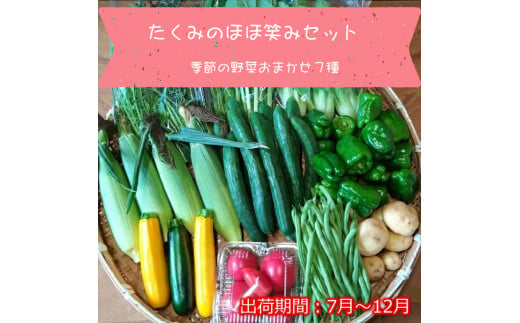 たくみのほほ笑みセット (季節の野菜おまかせ7種)＜出荷開始：2024年7月1日～2024年 12月22日まで＞ 高原野菜 レシピ 【 産地直送 産直 季節の野菜 旬の野菜 詰合せ 有機野菜 有機栽培 長野県 佐久市 】