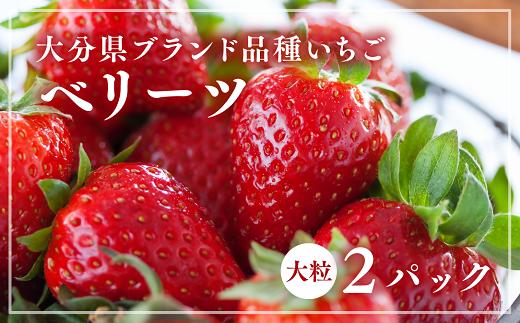 
【先行予約】大分県ブランドいちご「ベリーツ」大粒（280g×2パック）
