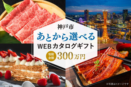 あとから選べるWEBカタログギフト（寄附300万円コース）900000ポイント神戸市