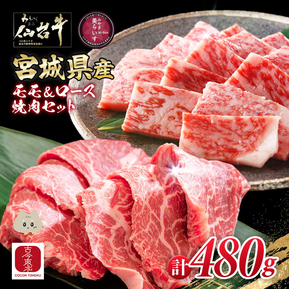 【ふるさと納税】【古今東北】 宮城県産 特選仙台牛 A5ランク 美らいす和牛 焼き肉用セット（モモ・ロース） 480g（ロース 200g / もも 280g） | 専用箱発送 黒毛和牛 和牛 国産和牛 ブランド牛 繊細 上品 冷凍 霜降り 牛肉 お取り寄せ 宮城県 丸森町 丸森【30106】