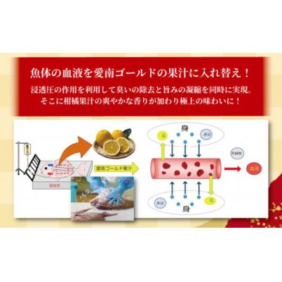 ふるさと納税 愛南町 訳あり かつおのたたき 1kg と 愛南ゴールド 真鯛 200g お試し セット ハマスイ 愛南町 |  | 02