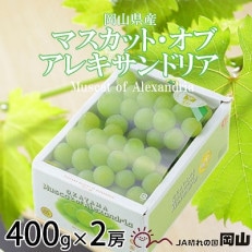 【2024年8月下旬より発送】岡山県産　マスカット・オブ・アレキサンドリア　400g×2房