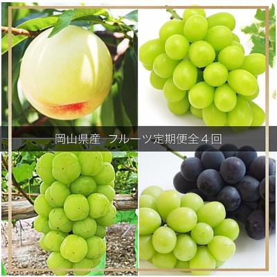 ふるさと納税 津山市 【発送月固定定期便】岡山県産  フルーツ定期便全4回