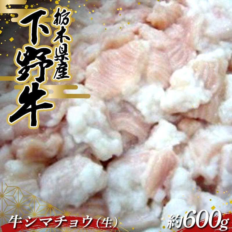 【ふるさと納税】栃木県産 厳選下野牛！ 牛シマチョウ（生）約600g 国産 ブランド牛 牛肉 肉 焼肉 BBQ バーベキュー 食品 冷凍 贈答 贈り物 ギフト プレゼント 自宅 家庭 栃木県 足利市 F7Z-1599