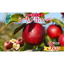 【ふるさと納税】＜25年発送 先行予約＞長野県産 りんご シナノホッペ 訳あり 約3kg リンゴ 旬 フルーツ 訳アリ 林檎 果物 規格外 自家用 産地直送 農園 産直 お取り寄せ もぎたて 採れたて 送料無料 堀田農園 信州 大町市