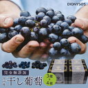 【ふるさと納税】 【ギフトボックス】 余市産 完全 無添加 干し 葡萄 DIONYSOS 3種 セット × 4個 完全無添加 北海道 余市産 送料無料