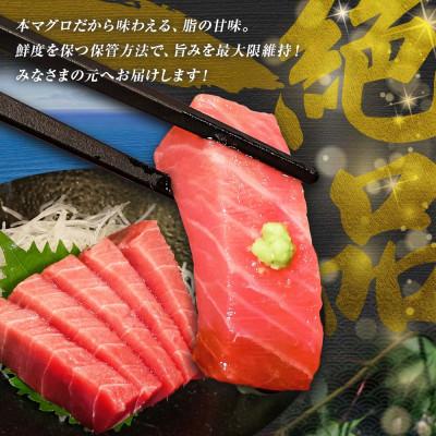 ふるさと納税 土佐市 本マグロ 中トロ 200g 柵 お刺身やマグロ丼にも! |  | 02
