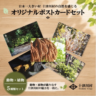 【ふるさと納税限定】十津川村風景ポストカードセット 5枚入り　動物・植物【1760842】