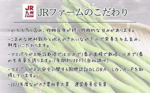 JR九州ファームの夏アスパラガス　Lサイズ1.2kg【A9-029】 アスパラガス アスパラ 夏アスパラ 野菜 甘み 柔らかい 松浦市