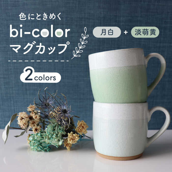 【ふるさと納税】【美濃焼】bi-color マグカップ 2色セット (月白・淡萌黄)【山二製陶所】≪土岐市≫ 食器 コーヒーカップ ティーカップ [MDA004]