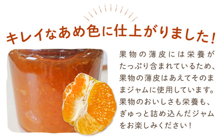 しらぬひとりんごのゴロゴロジャム 1個 (1個250g) ジャム