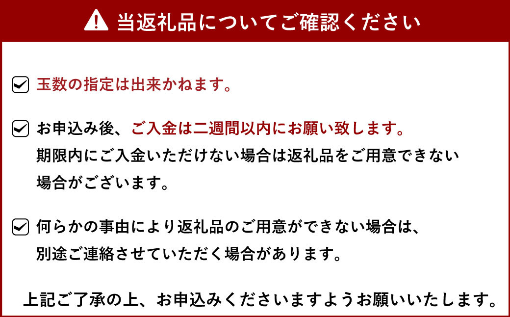 【先行予約】不知火 約5kg（15～22玉）【ひがし果樹園】【2025年3月上旬～4月下旬発送予定】柑橘 果物