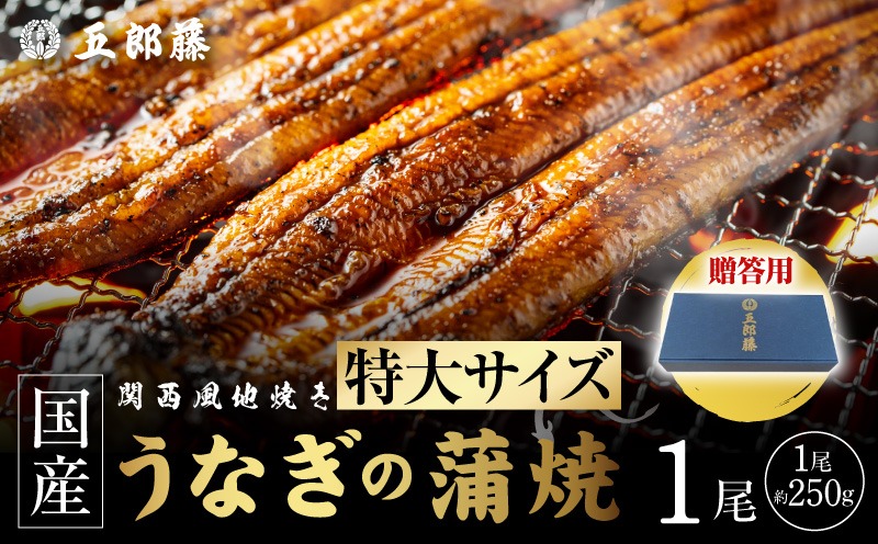 099H5080 【贈答用】五郎藤 関西風地焼き 国産有頭旨鰻 250g×1尾 計約250g 特大 うなぎ ウナギ 蒲焼き 炭火