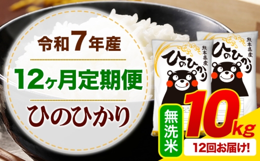 【12ヶ月定期便】 令和7年産 無洗米 ひのひかり 定期便 10kg《お申込み翌月から出荷》熊本県産 ふるさと納税 精米 ひの 米 こめ ふるさとのうぜい ヒノヒカリ コメ お米